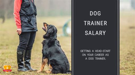 Salary Potential for Animal Trainers